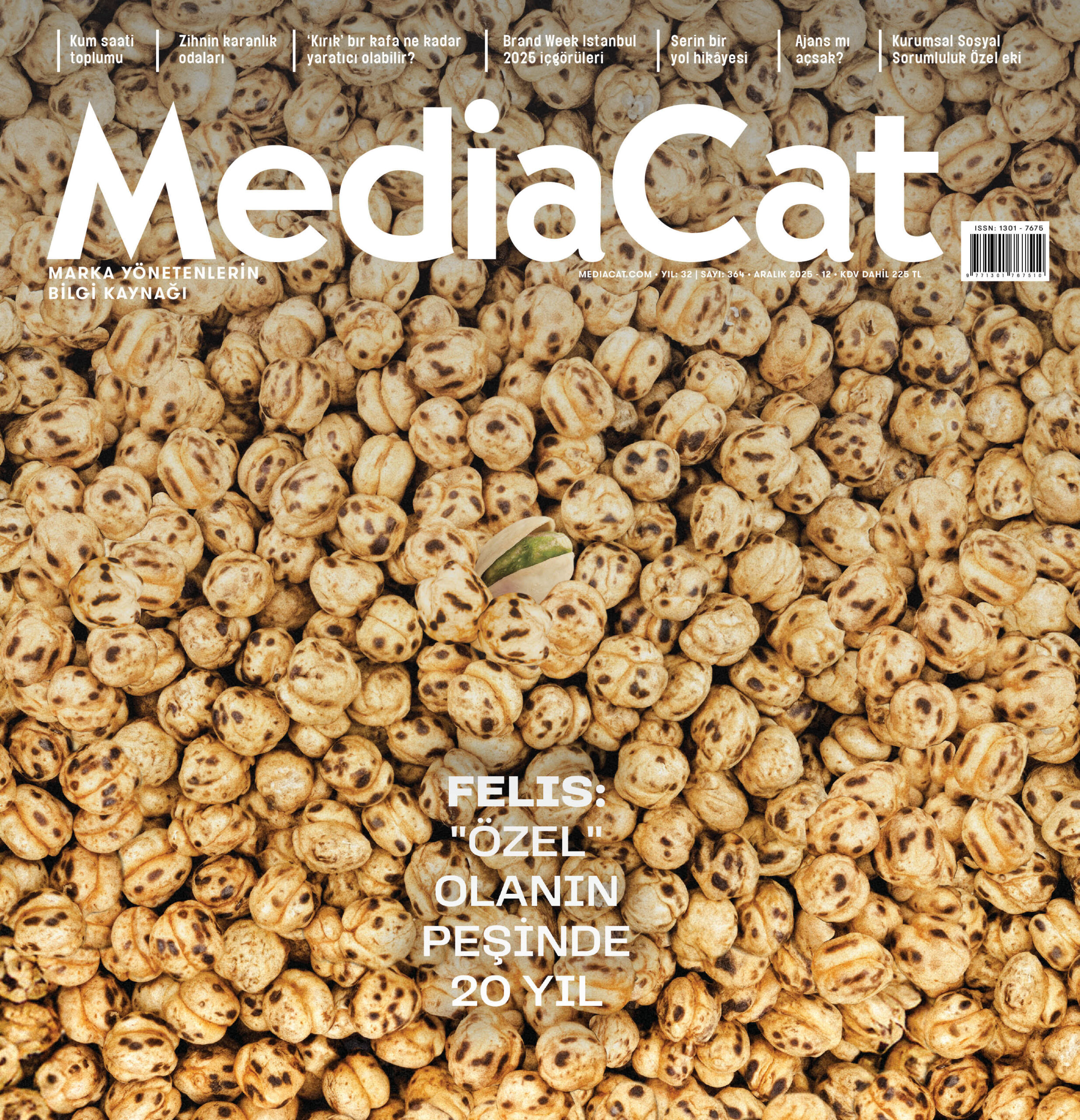 MediaCat Aralık Sayısı